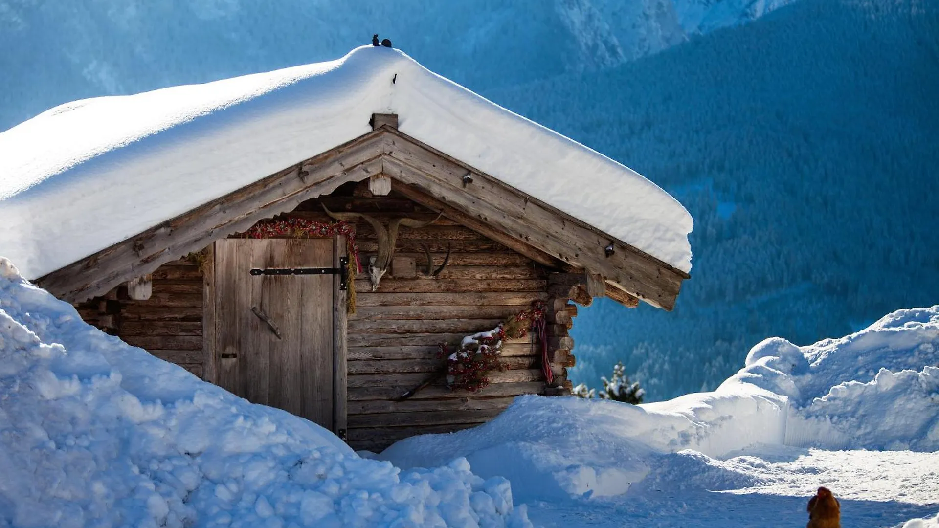 Apartment Alpenpension Ettlerlehen Ferienwohnungen Ramsau bei Berchtesgaden Germany