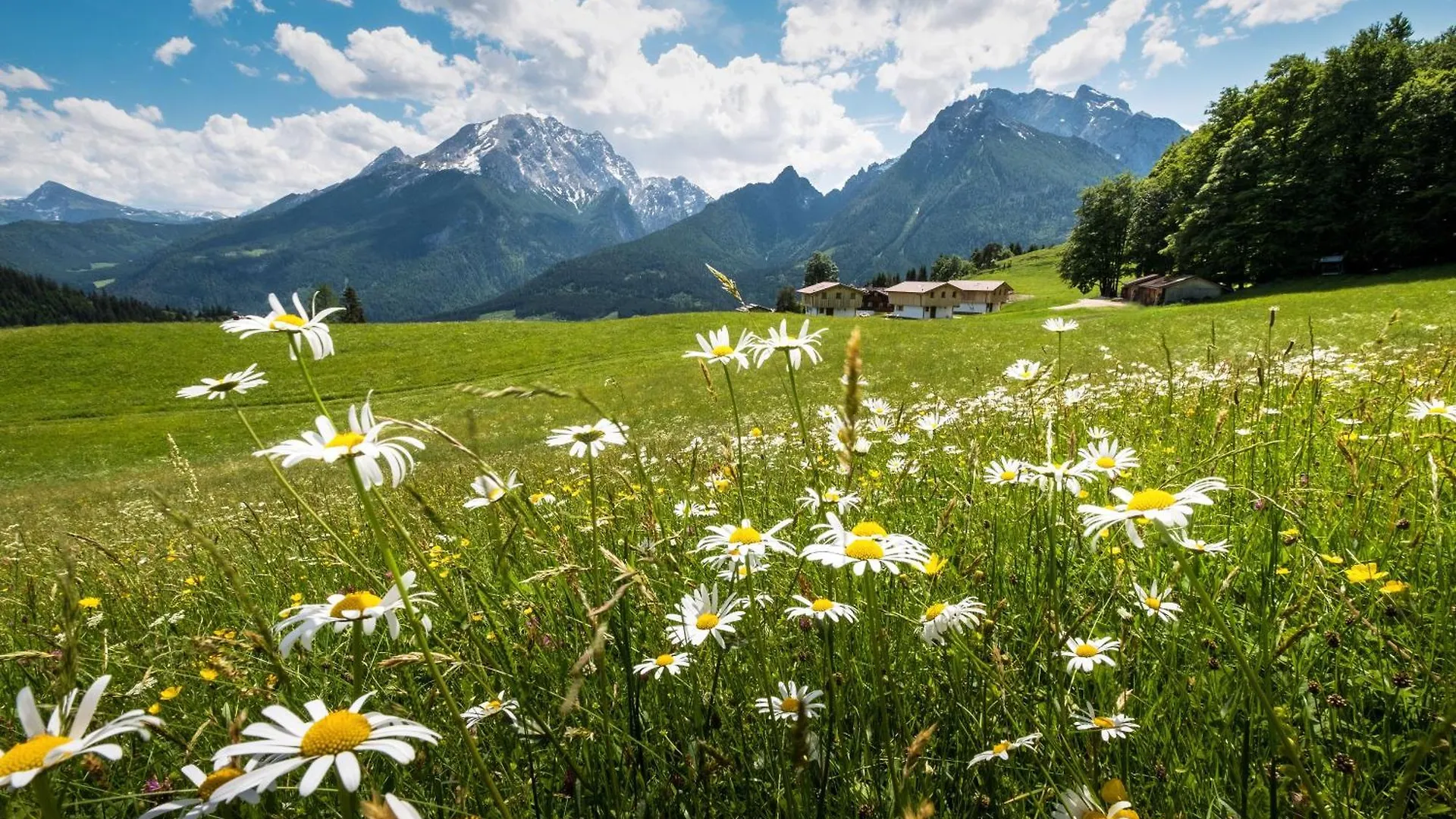 Apartment Alpenpension Ettlerlehen Ferienwohnungen Ramsau bei Berchtesgaden